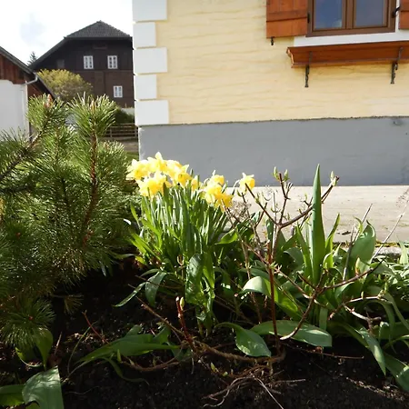 Διαμέρισμα Kasparbauer Sankt Michael im Lungau