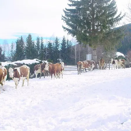 公寓 Kasparbauer *