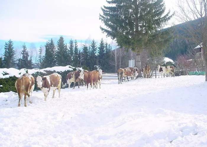 Apartment Kasparbauer *